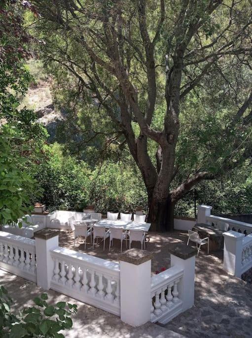 Villa Casa Fuente De Rechita La Iruela Esterno foto